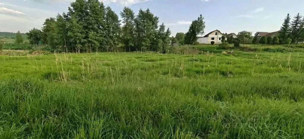 Участок в Московская область, Рузский муниципальный округ, д. Барынино ... - Фото 1