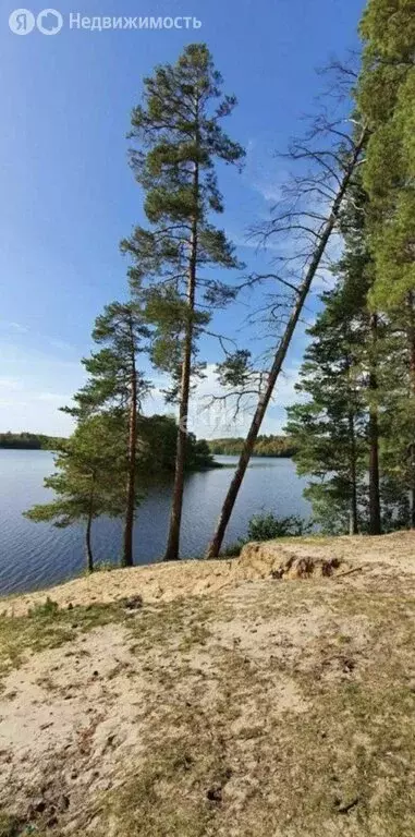 Участок в село Наумовка, Центральная улица, 25 (25 м) - Фото 2