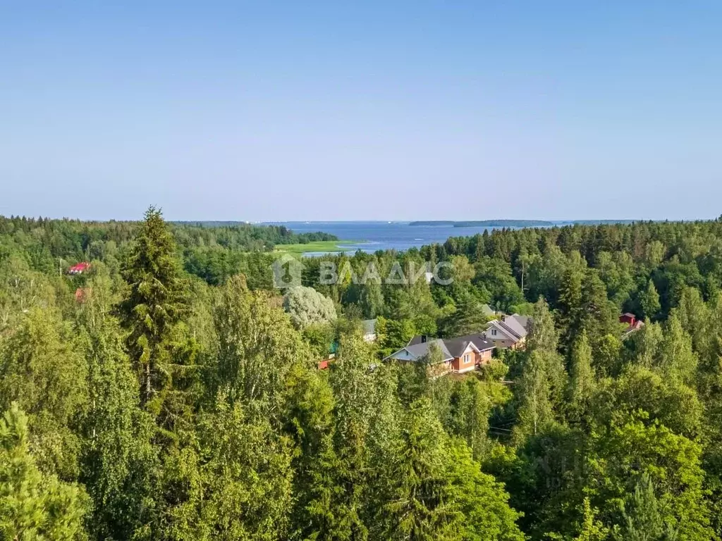 Дом в Ленинградская область, Выборгский район, Селезневское с/пос, ... - Фото 1
