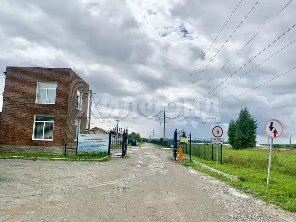 Участок в Новосибирская область, Новосибирский район, Березовский ... - Фото 1