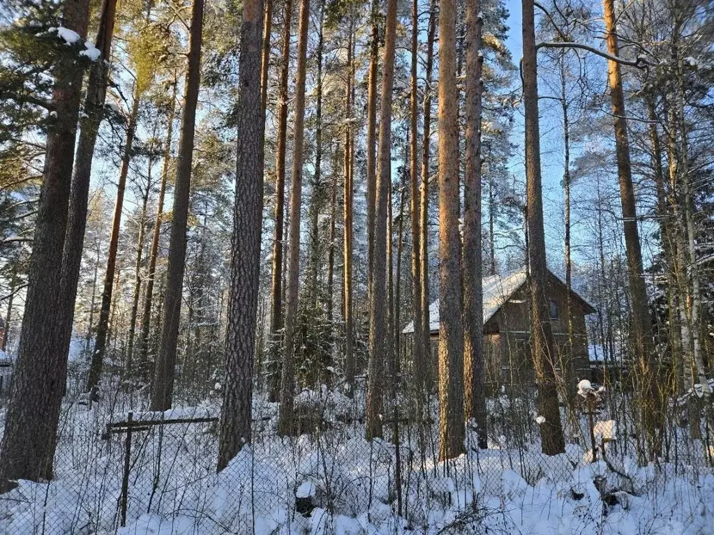 Дом, 73 м - Фото 1