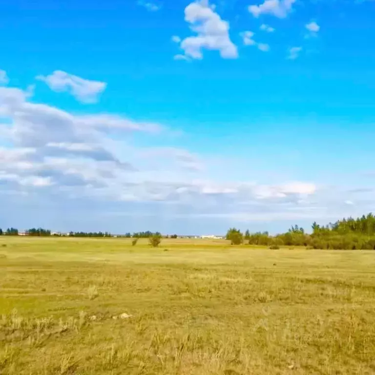 Участок в Саха (Якутия), Якутск городской округ, с. Тулагино  (8.0 ... - Фото 1