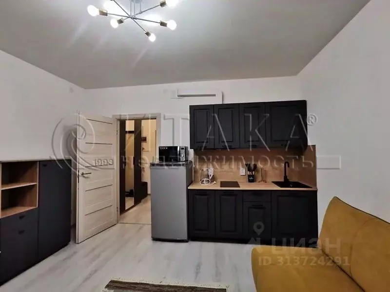 Студия Санкт-Петербург просп. Буденного, 23к1 (25.0 м) - Фото 1