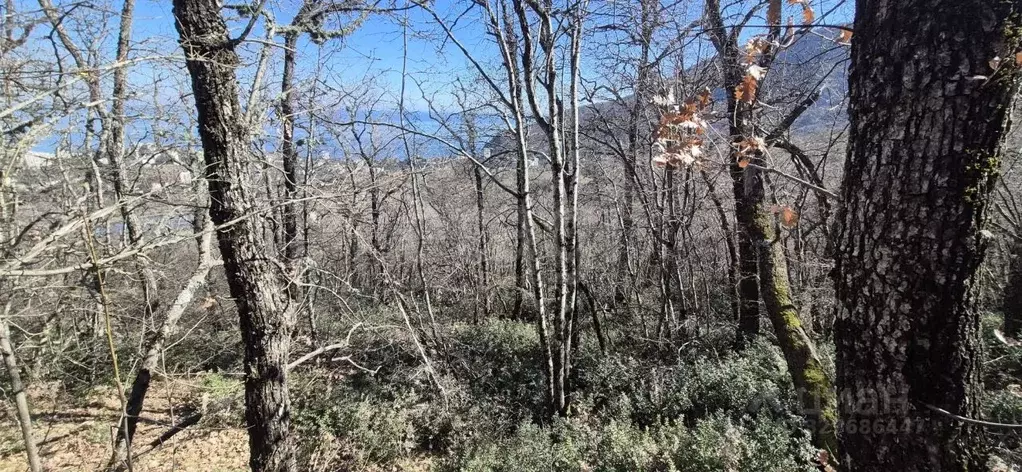 Участок в Крым, Алушта муниципальный округ, Партенит пгт  (10.0 сот.) - Фото 2