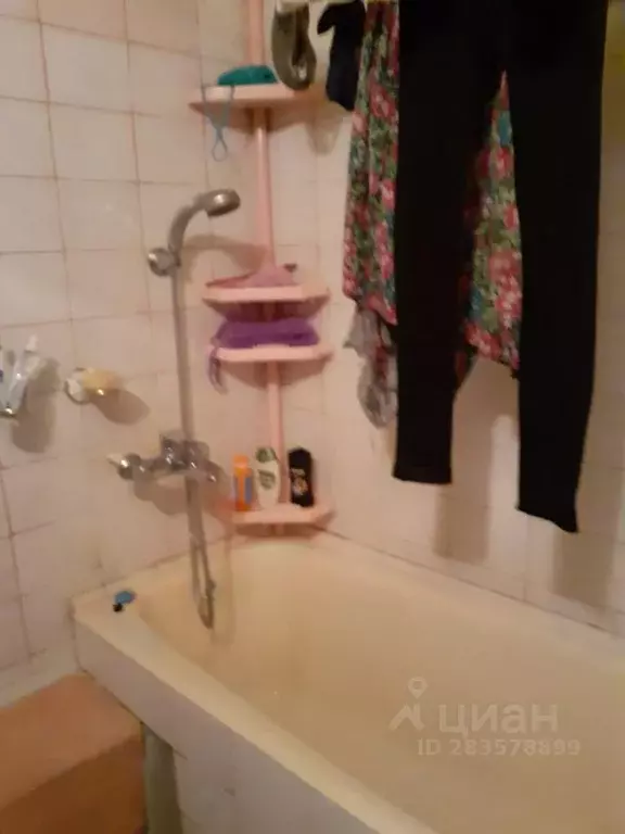 Комната Кемеровская область, Новокузнецк просп. Запсибовцев, 19 - Фото 0