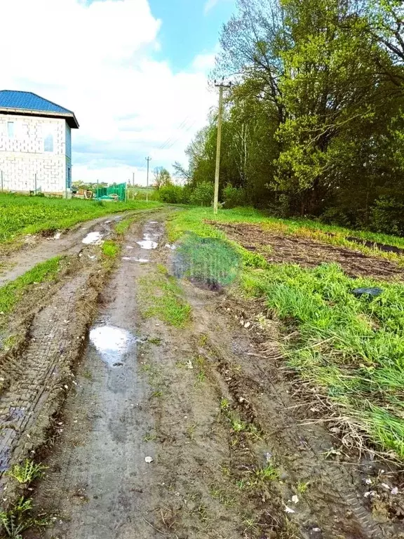 Участок в Московская область, Ленинский городской округ, д. Петрушино ... - Фото 1