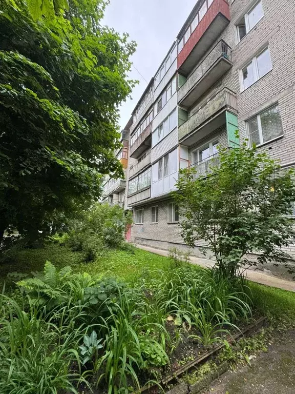 1-к кв. Ленинградская область, Кировск Набережная ул., 1к2 (28.9 м) - Фото 0