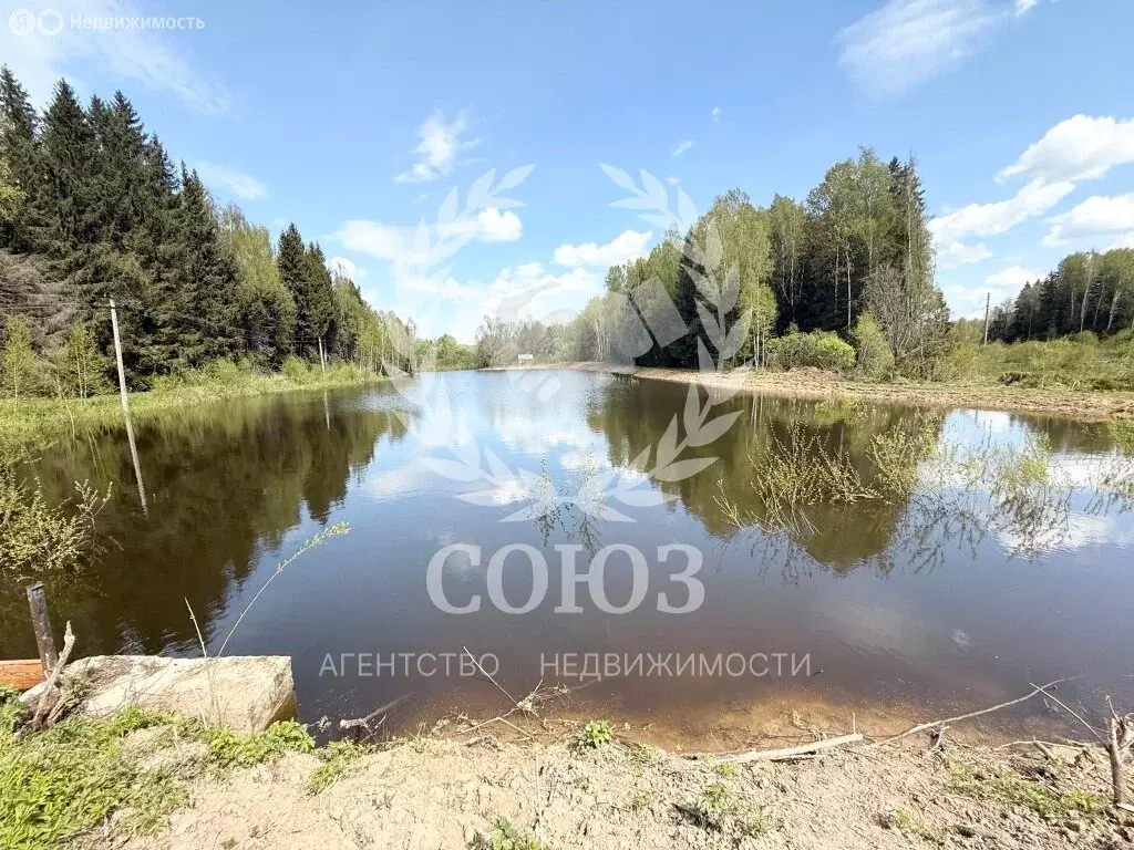 Участок в Смоленская область, Тёмкинский муниципальный округ, ... - Фото 0