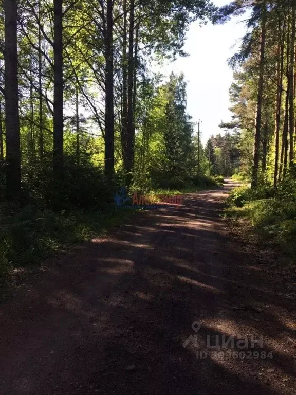 Участок в Ленинградская область, Выборгский район, Селезневское с/пос, ... - Фото 0