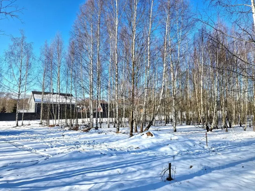 Участок в Московская область, Сергиево-Посадский городской округ, ... - Фото 1