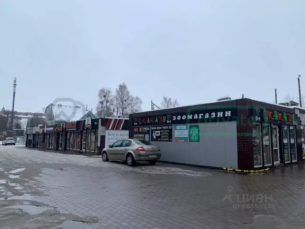 Торговая площадь в Калининградская область, Светлогорск Пионерская ... - Фото 1