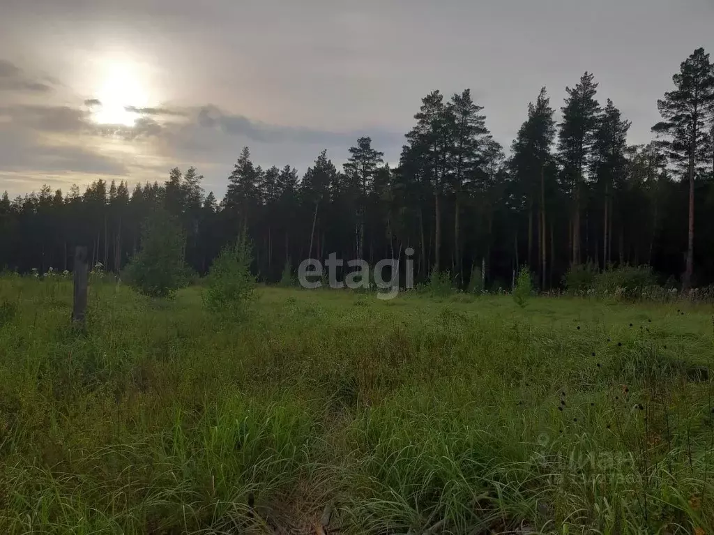 Участок в Курганская область, Кетовский муниципальный округ, с. ... - Фото 0