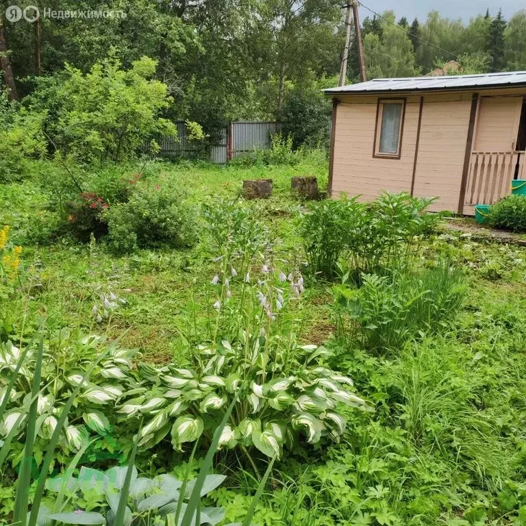 Участок в Одинцовский городской округ, садоводческое некоммерческое ... - Фото 2
