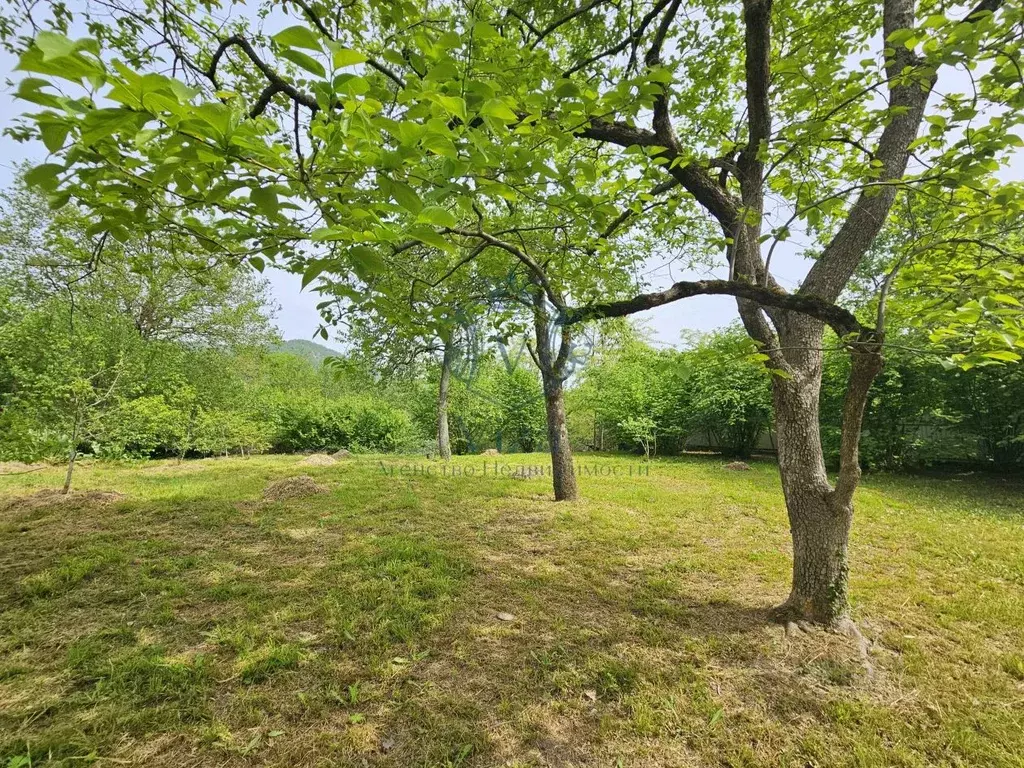 Дом в Краснодарский край, Туапсинский муниципальный округ, ... - Фото 1