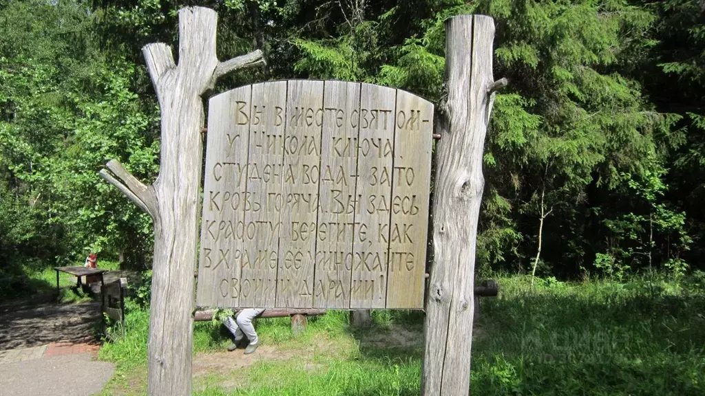 Участок в Нижегородская область, Городецкий муниципальный округ, д. ... - Фото 2