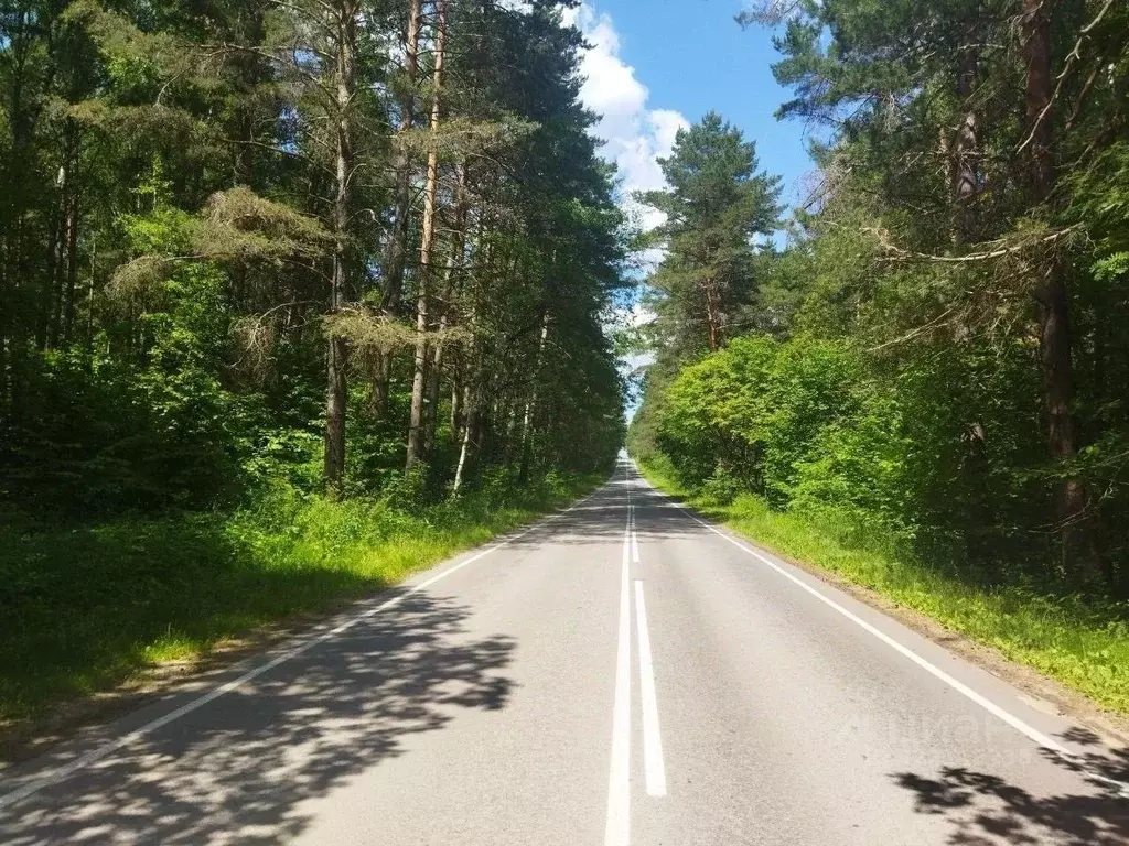 Участок в Тульская область, Ясногорский район, Иваньковское с/пос, с. ... - Фото 1