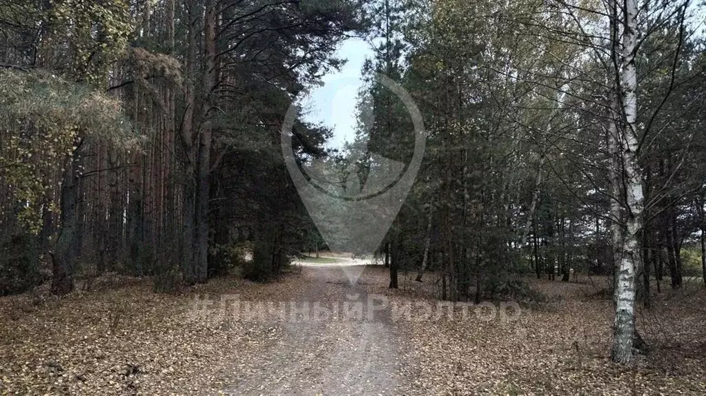 Участок в Рязанская область, Клепиковский район, Ненашкинское с/пос, ... - Фото 2