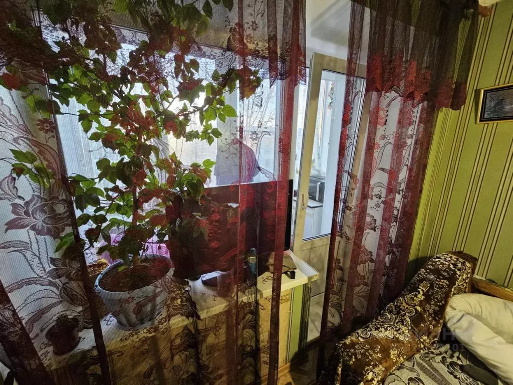 Комната Омская область, Омск Привокзальный мкр, ул. Академика Павлова, ... - Фото 2