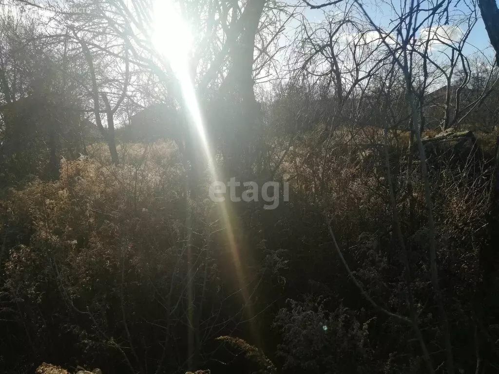 Участок в село Супонево, садоводческое общество Дубрава (7 м) - Фото 0