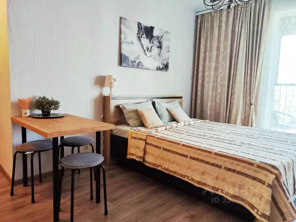 Студия Пермский край, Пермь ул. Сапфирная, 13 (25.0 м) - Фото 1