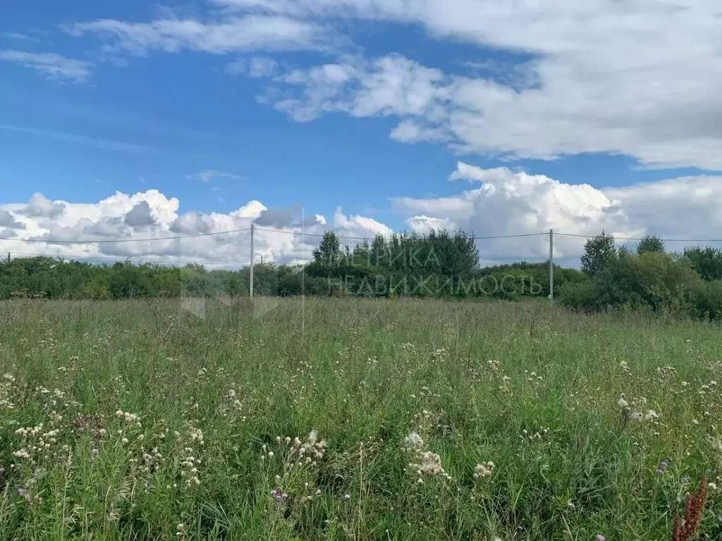 Участок в Тюменская область, Тюмень  (11.0 сот.) - Фото 2