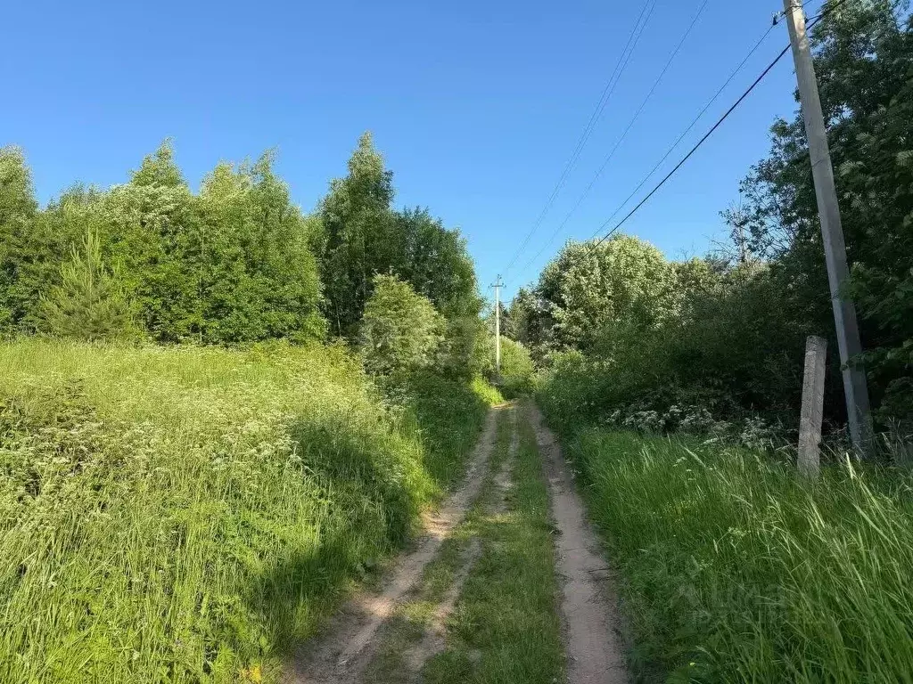 Участок в Вологодская область, Великоустюгский муниципальный округ, ... - Фото 1