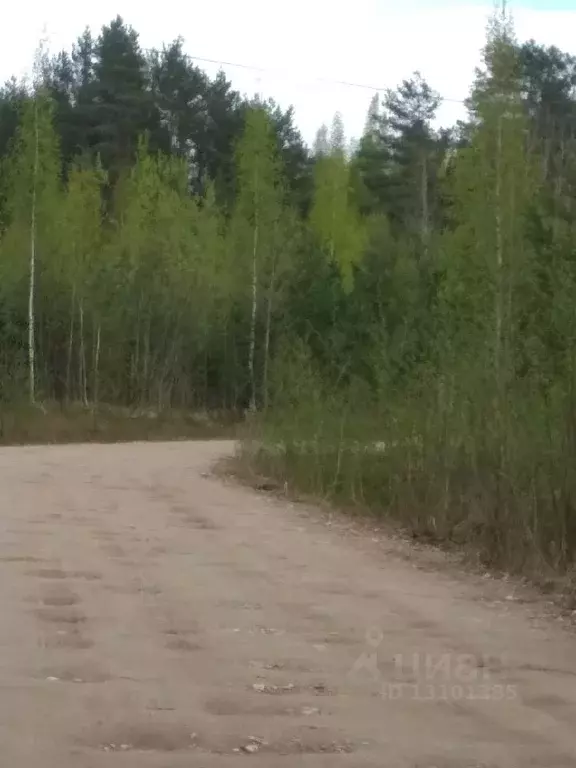 Участок в Новгородская область, Новгородский район, Савинское с/пос, ... - Фото 0