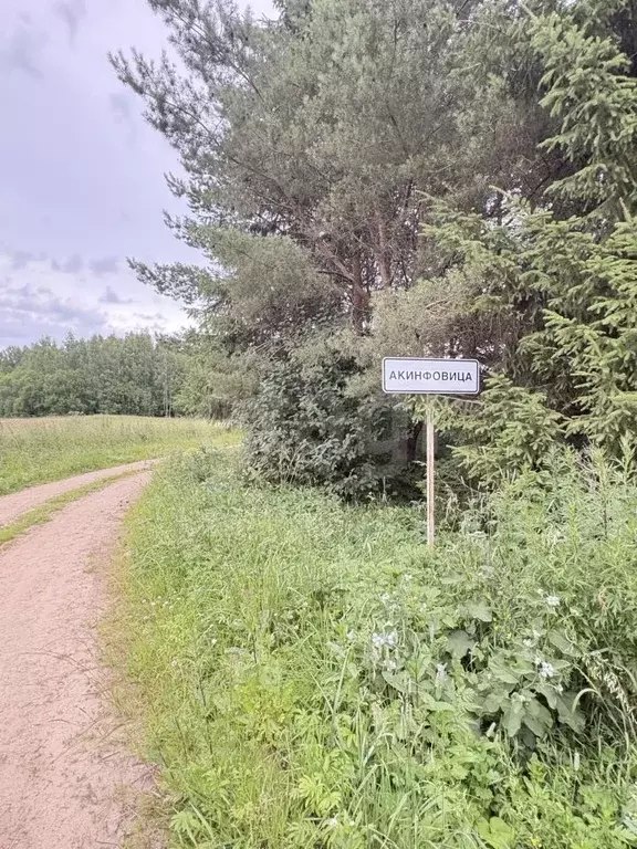 Дом в Вологодская область, Грязовецкий муниципальный округ, д. ... - Фото 1