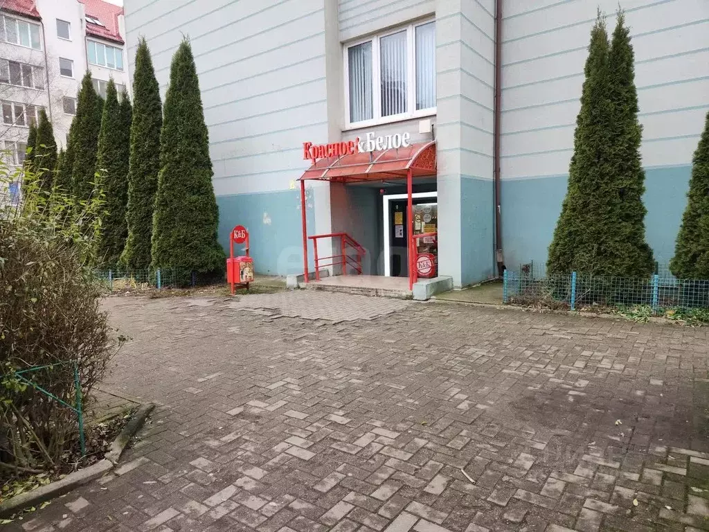 Помещение свободного назначения в Калининградская область, Калининград ... - Фото 1