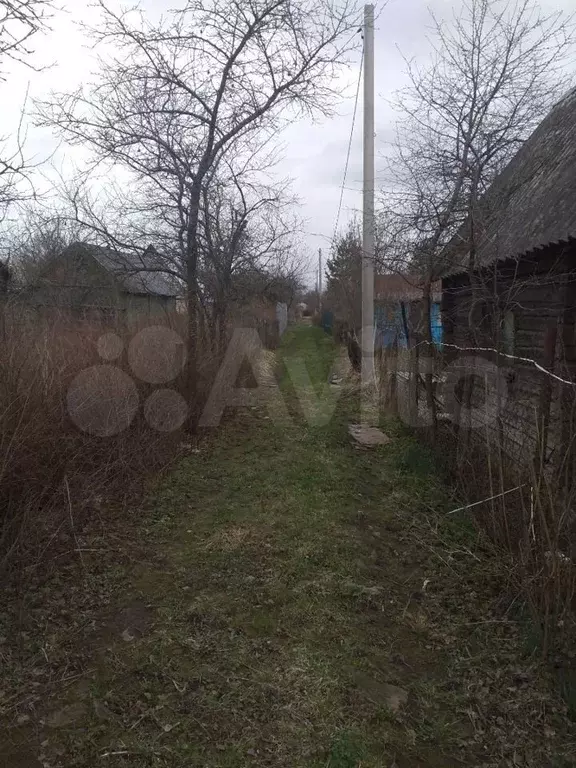 Ситники смоленск. Село Колодное Тячевский район. Село Правороть Прохоровского района. Украина село Дворянское Тячевский район ул Ленина 186. Закарпатской район село Деброво ул. дружбы народов13
