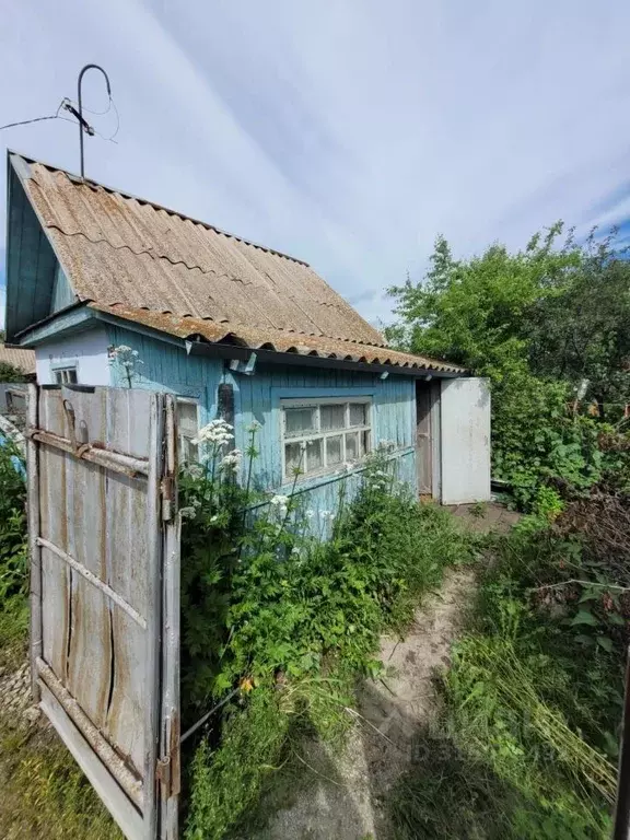 Дом в Челябинская область, Чебаркуль  (12 м) - Фото 0