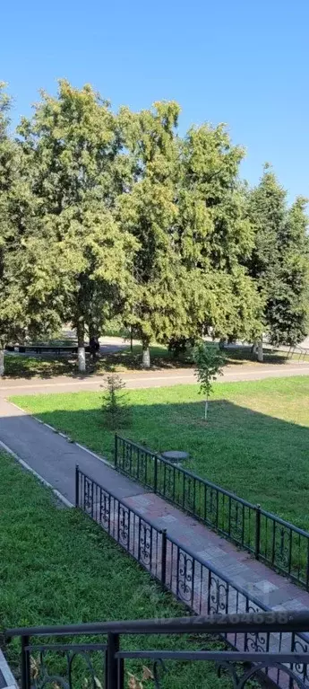 Торговая площадь в Саратовская область, Ртищево Пролетарская ул., 1 ... - Фото 2