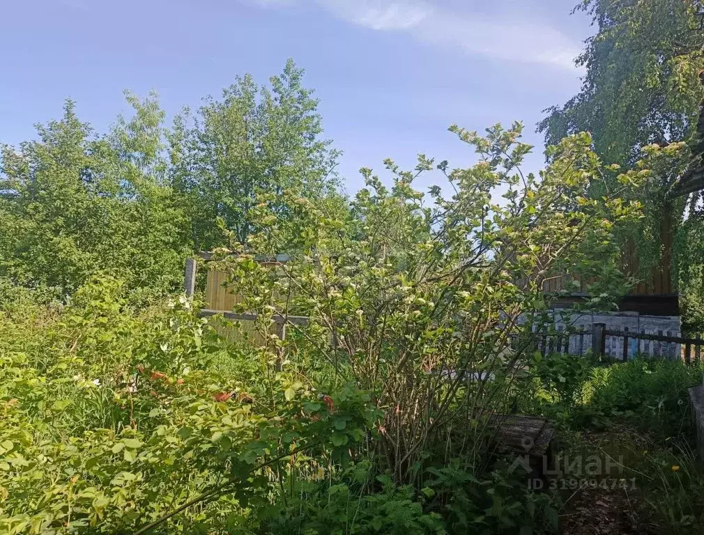 Участок в Архангельская область, Архангельск пос. 2-го Лесозавода, ул. ... - Фото 2