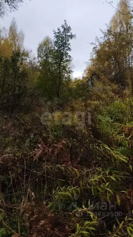 Участок в Брянская область, Брянский район, Мичуринское с/пос, ... - Фото 1