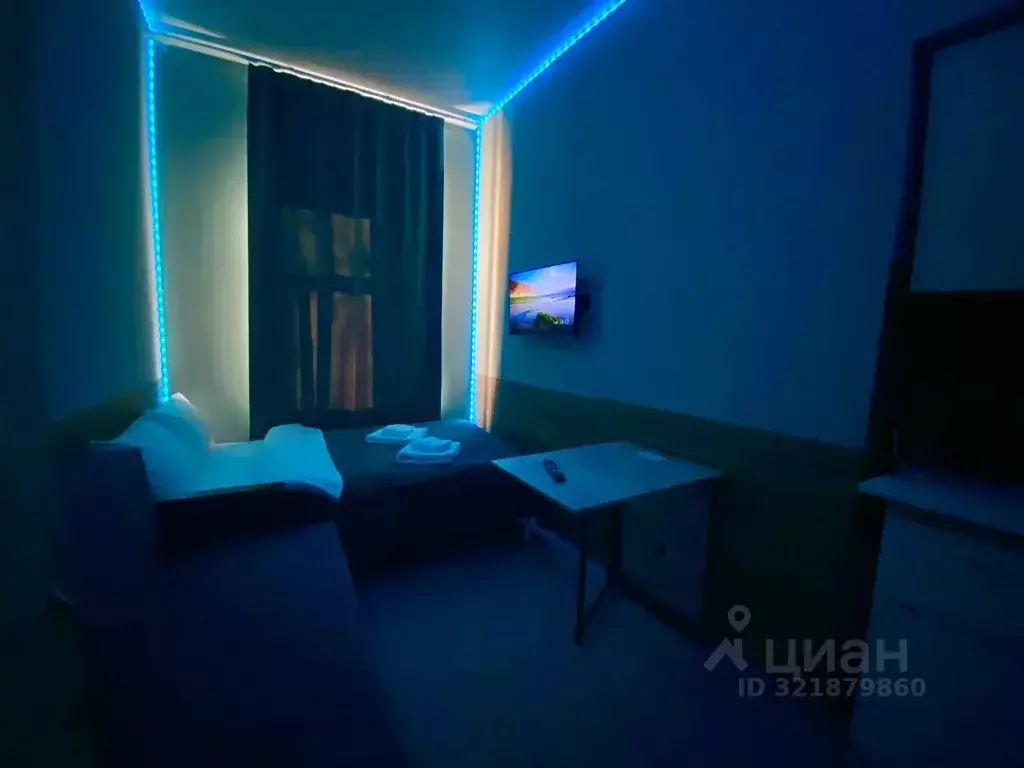 1-к кв. Санкт-Петербург Гончарная ул., 11а (15.0 м) - Фото 2