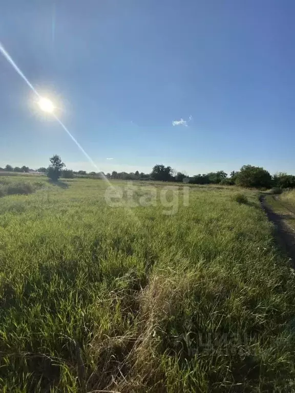Участок в Краснодарский край, Ейский район, Александровское с/пос, ... - Фото 2
