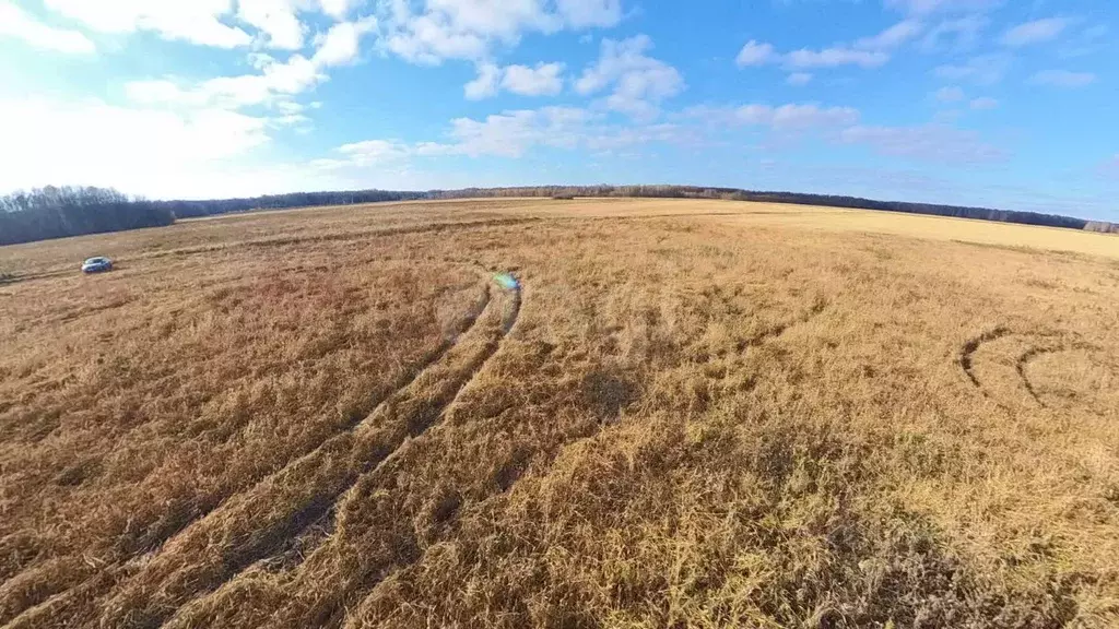 Участок в Тюменская область, Тюменский муниципальный округ, с. ... - Фото 1