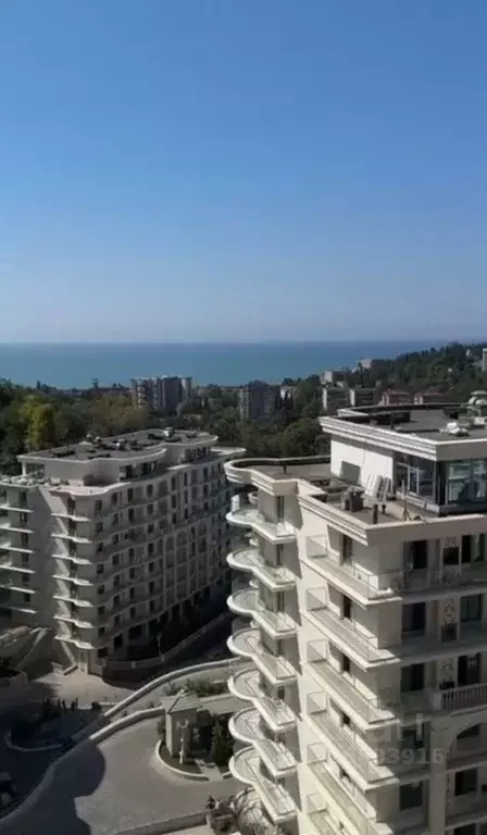 1-к кв. Краснодарский край, Сочи ул. Володарского, 6 (45.0 м) - Фото 1