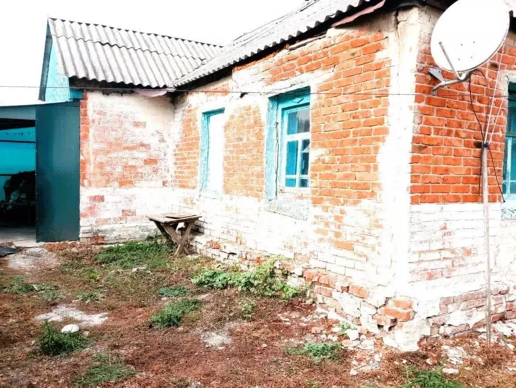 Дом в Белгородская область, Новооскольский муниципальный округ, с. ... - Фото 1