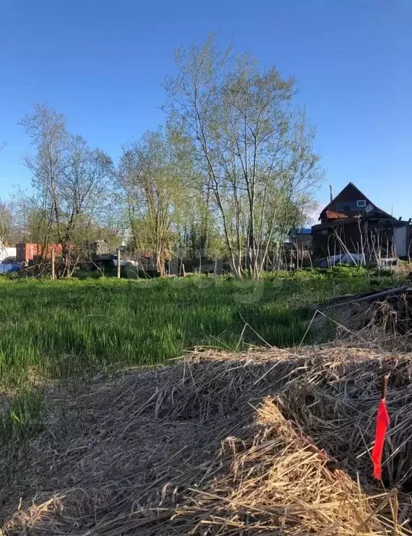 Участок в Камчатский край, Елизовский муниципальный округ, пос. ... - Фото 2