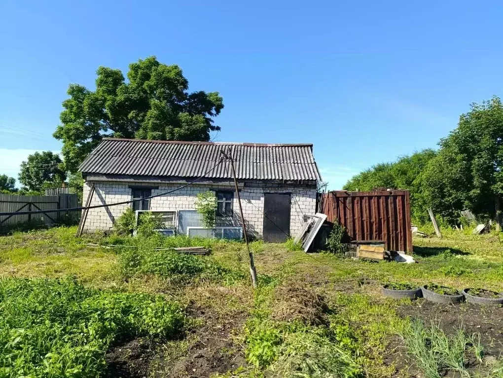 Участок в Еврейская автономная область, Биробиджан пос. ... - Фото 1