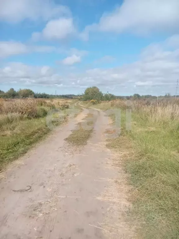 Участок в Брянская область, Брянский район, Мичуринское с/пос, д. ... - Фото 2