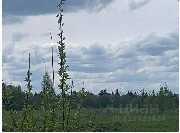 Участок в Московская область, Солнечногорск городской округ, д. Мостки ... - Фото 0