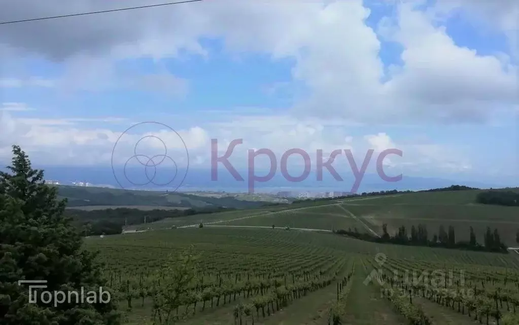 Участок в Краснодарский край, Новороссийск городской округ, с. ... - Фото 0