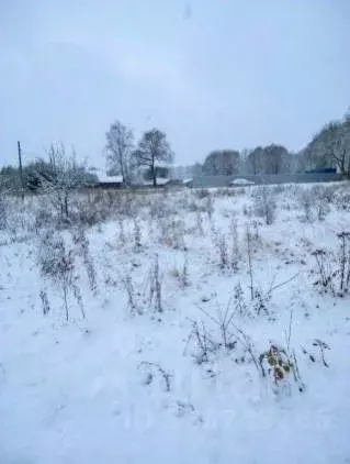 Участок в Тульская область, Веневский муниципальный округ, с. Прудищи ... - Фото 2