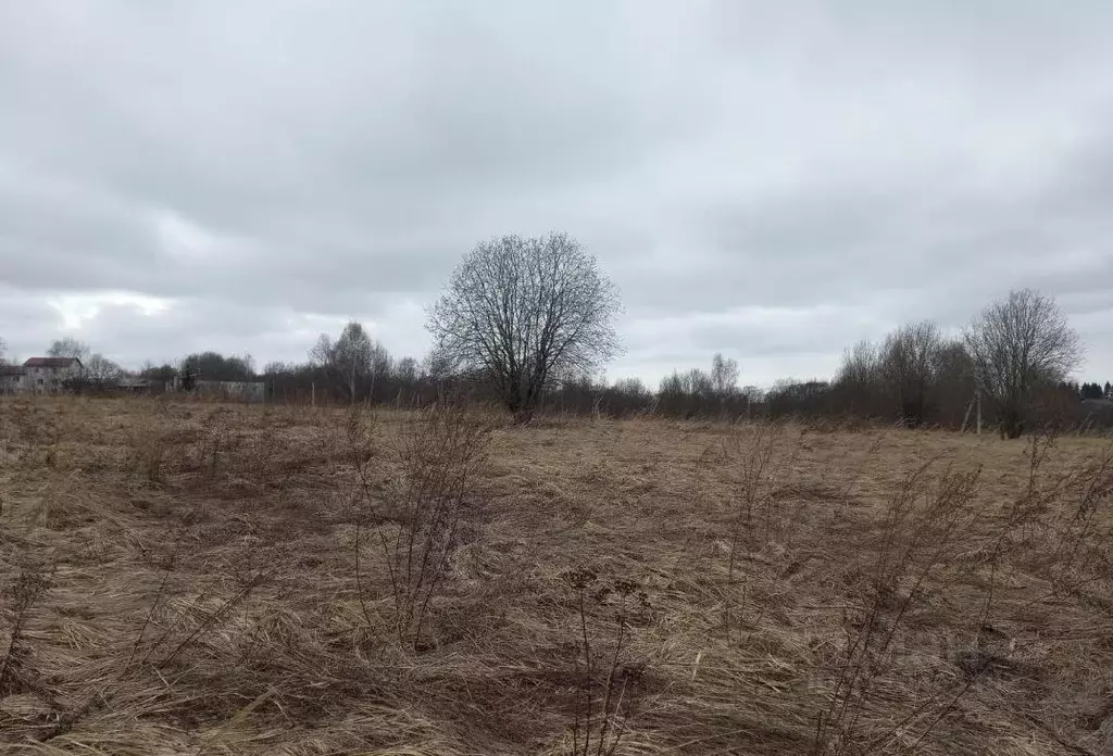 Участок в Московская область, Дмитровский муниципальный округ, д. ... - Фото 0