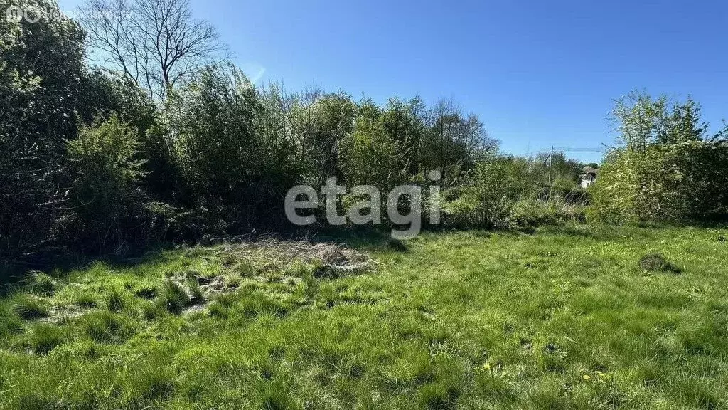 Участок в Калининградская область, Гурьевский муниципальный округ, ... - Фото 1