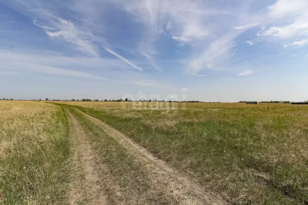 Участок в Тюменская область, Тюмень Микрорайон мыс,  (8.0 сот.) - Фото 1