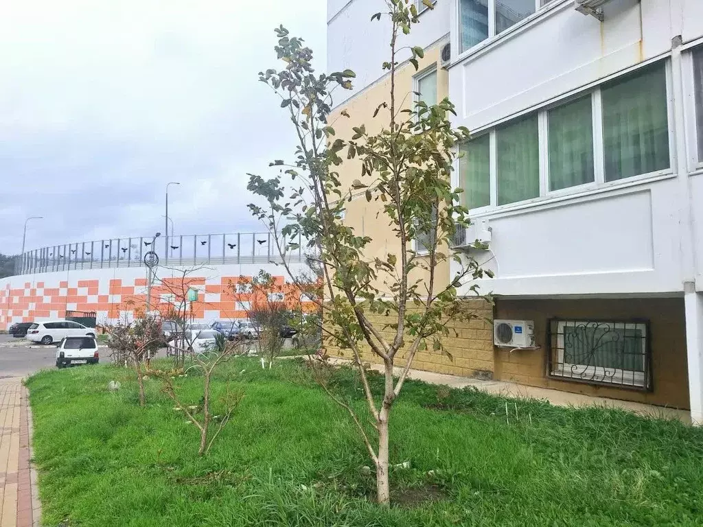 Офис в Краснодарский край, Геленджик ул. Маршала Жукова, 1к4 (20 м) - Фото 1