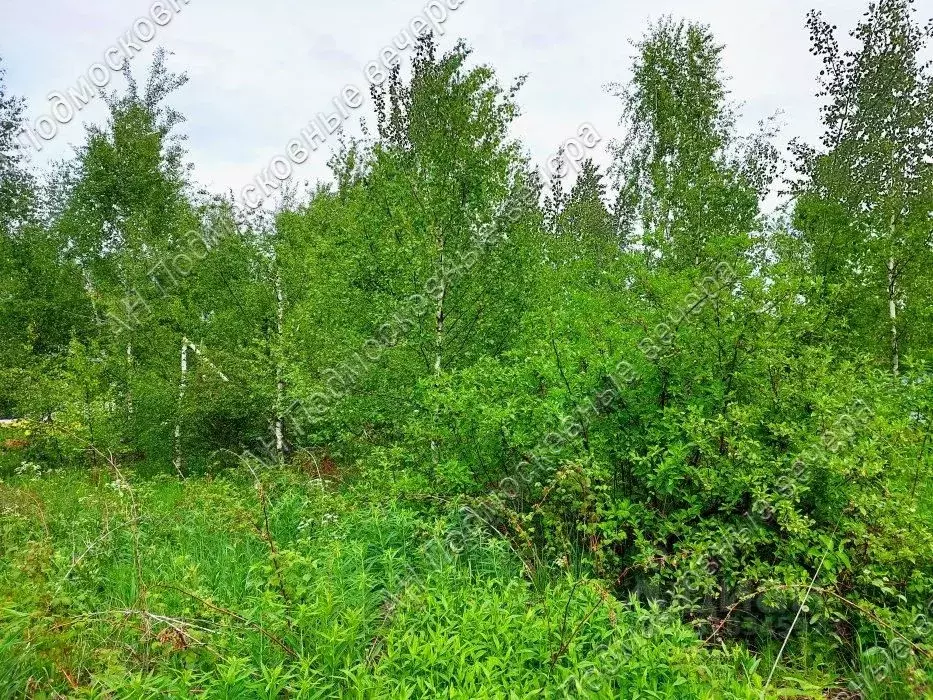 Участок в Московская область, Солнечногорск городской округ, д. ... - Фото 1